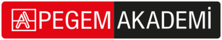 Pegem Akademi Logo