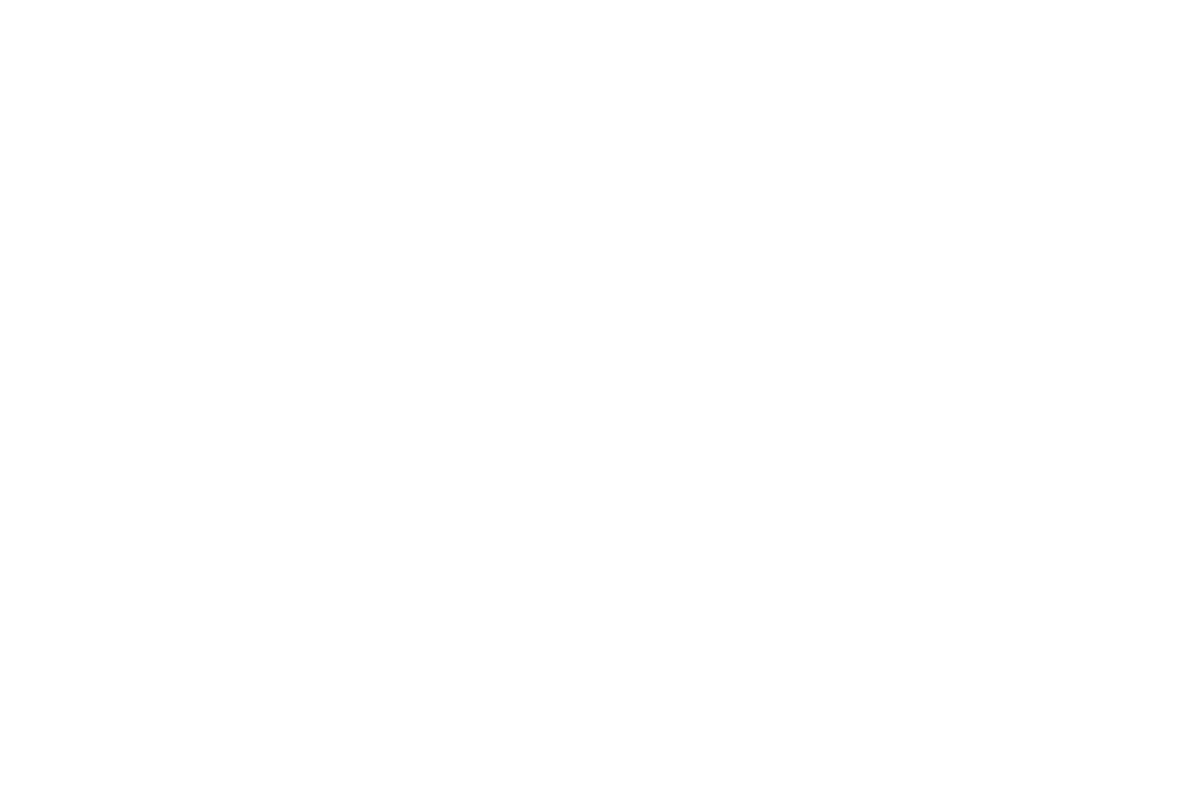 Alemdar İmam Hatipliler Derneği logosu